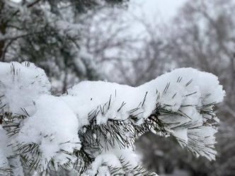 post-17721 thumbnail