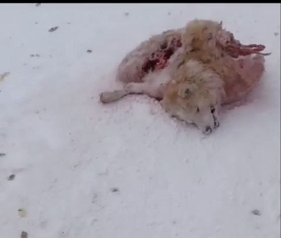 post-20821 thumbnail