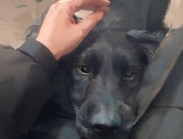 post-20619 thumbnail