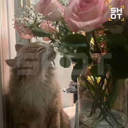 post-22379 thumbnail