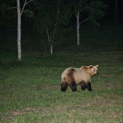 post-28441 thumbnail