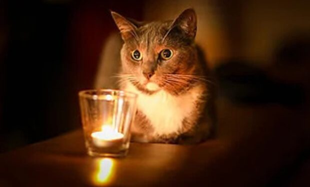 post-33194 thumbnail